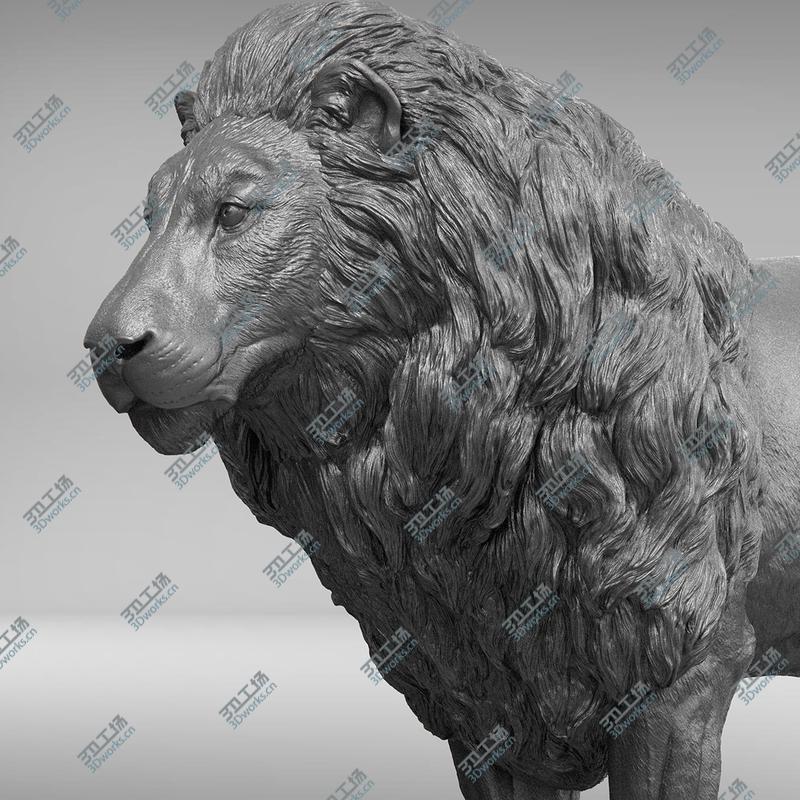 images/goods_img/2021040234/Lion Realistic 3D/2.jpg